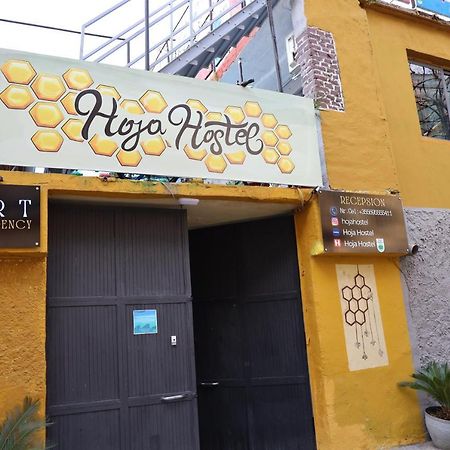Hoja Hostel Tirana Exterior photo